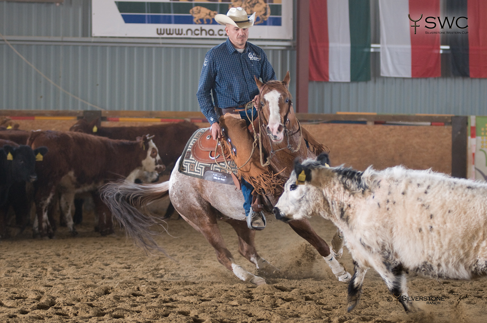 Working Cow Horse Herd Work Open All Ages Reserve Champion MA Starfighter a Václav Vacík
