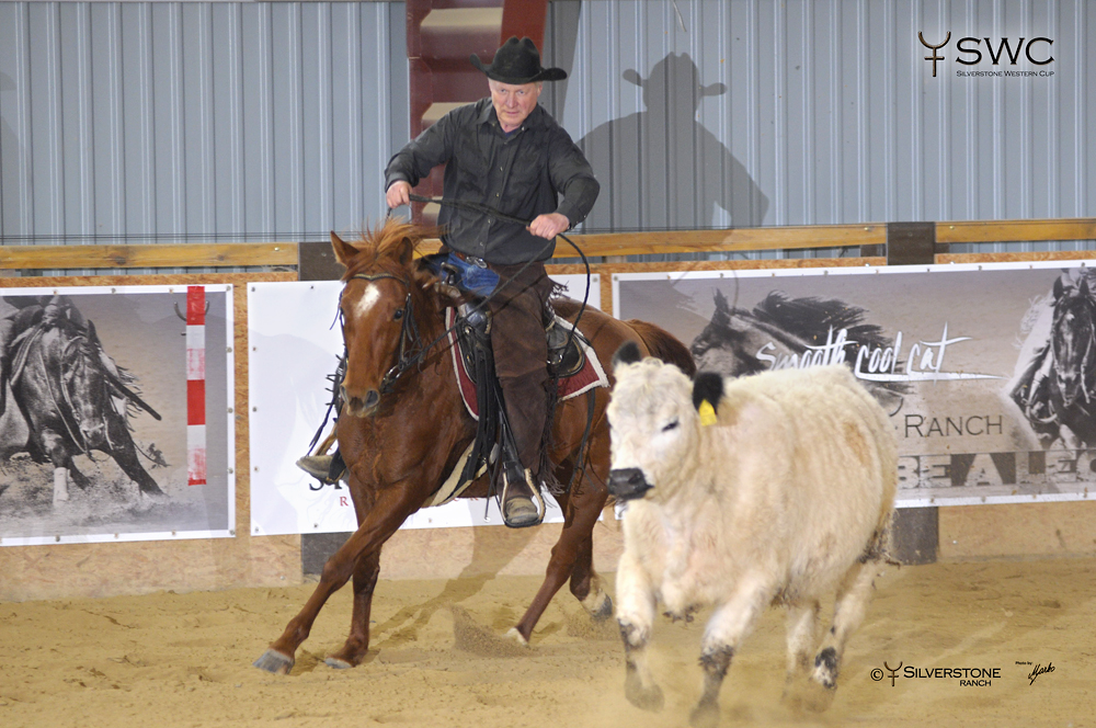 Working Cow Horse Novice horse Non-Pro Reserve Champion Holywood Chex a Václav Pubrdle