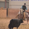 Cattle Games Ranch Cutting