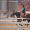 Cattle Games Speed Penning