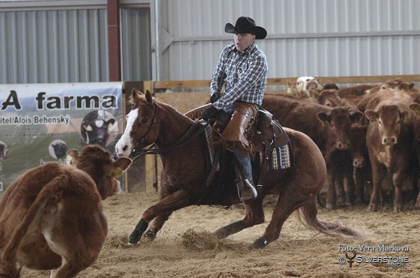 Výsledky z 1.show CS NCHA GRASS ROOTS CUP 4.4. 2015