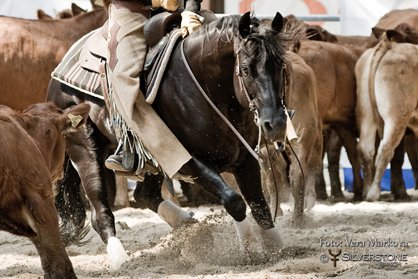 Harmonogran dne 2.show SILVERSTONE WESTERN CUP 9. 5. 2015