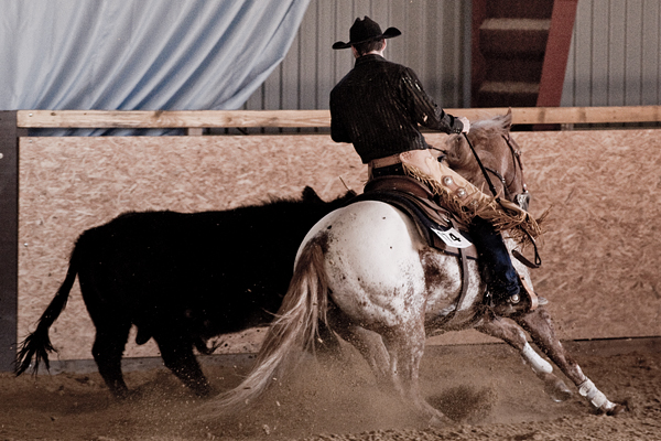 Informace a přihlášky pro jezdce 3.ERCHA Czech Regional show 13. 6. 2015