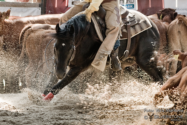 4.show CS NCHA GRASS ROOTS SHOW / 3.show a finále SILVERSTONE WESTERN CUP dne 13.6.2015 se ruší!!!