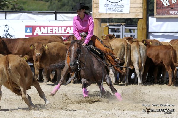 Výsledky a fotografie z 3.show SILVERSTONE WESTERN CUP, Karpacz, Poland 1.8. 2015