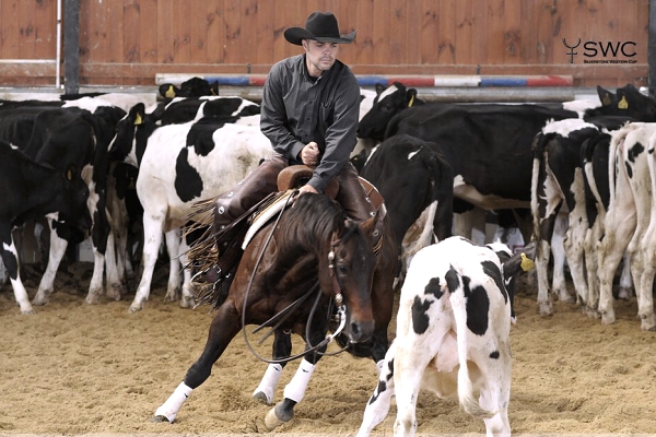 2.show SWC 2016 - 14. května , Ranč Patriot Plástovice - Výsledky a fotogalerie