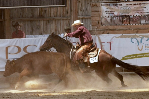 3.show SWC - výsledky a fotogalerie -18. - 19. června 2016 „ERCHA / NRCHA HACKAMORE CLASSIC, Karpacz PL“